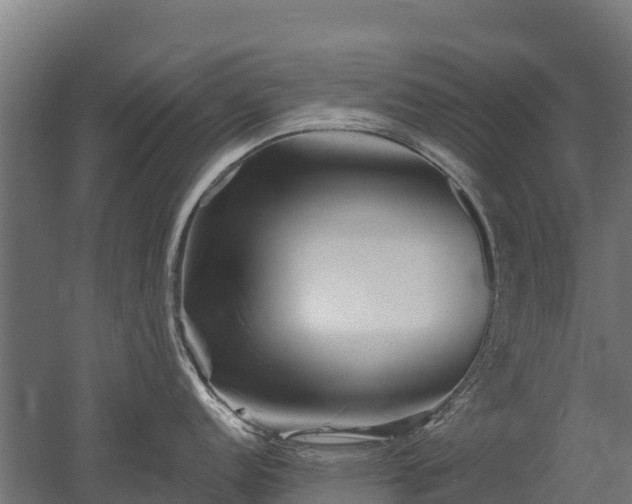 X0000052941152200507151636