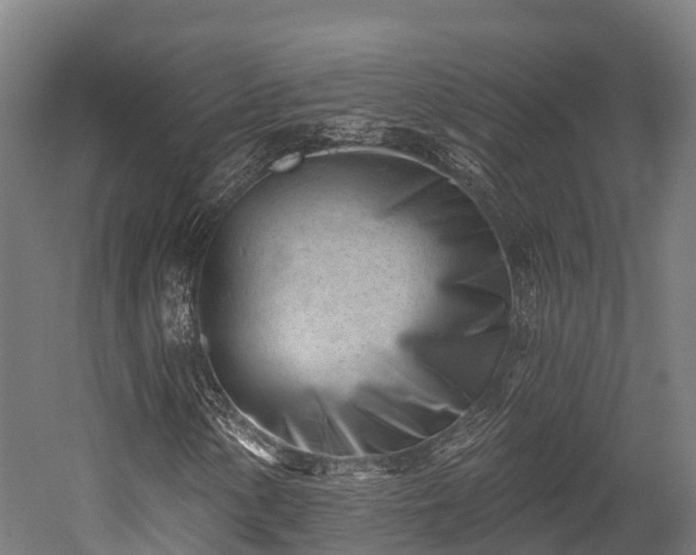 X0000052941154200507151635