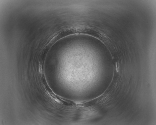 X0000052941155200507151635