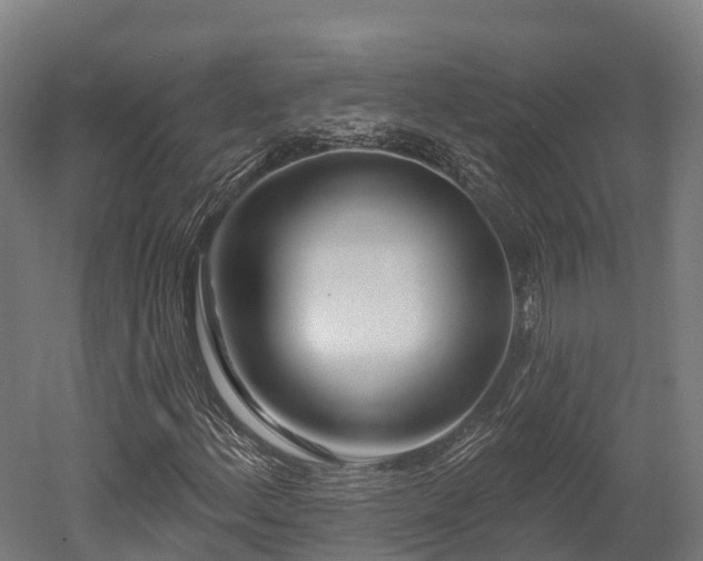 X0000052941156200507151635