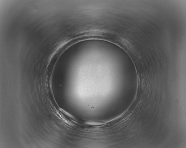 X0000052941164200507151635