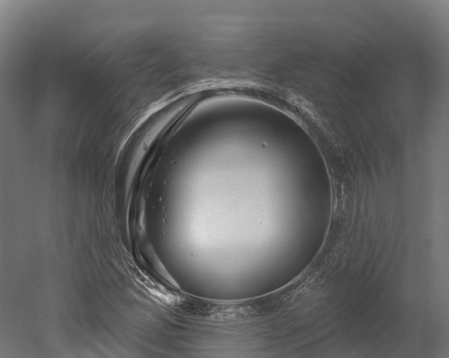 X0000052941165200507151635