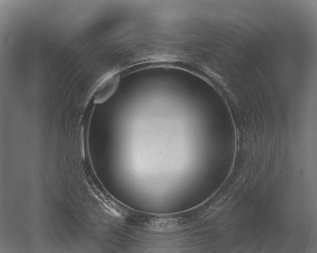 X0000052941171200507151635