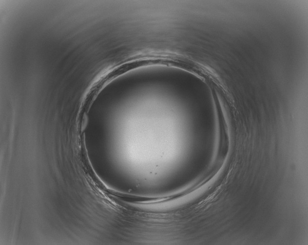 X0000052941172200507151635