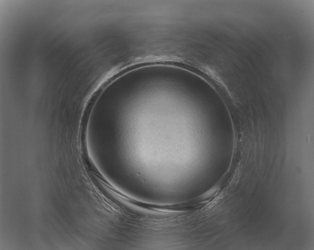 X0000052941173200507151635