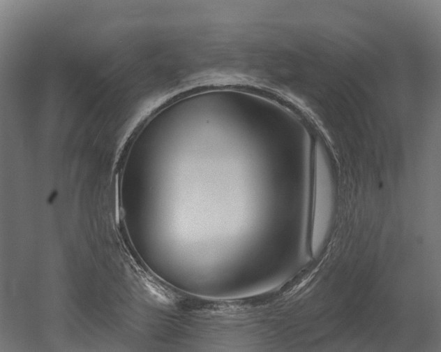 X0000052941175200507151635