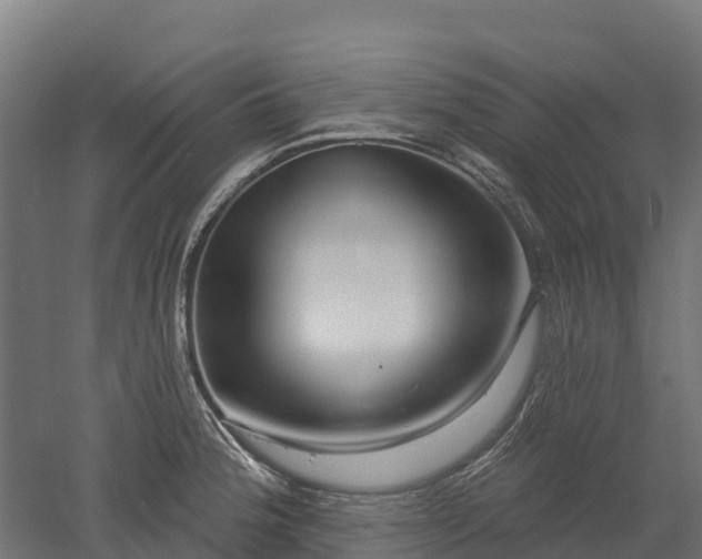 X0000052941188200507151635