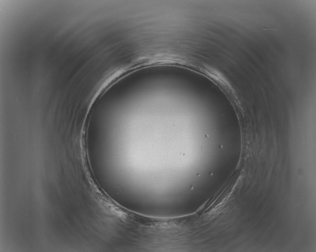 X0000052941190200507151635