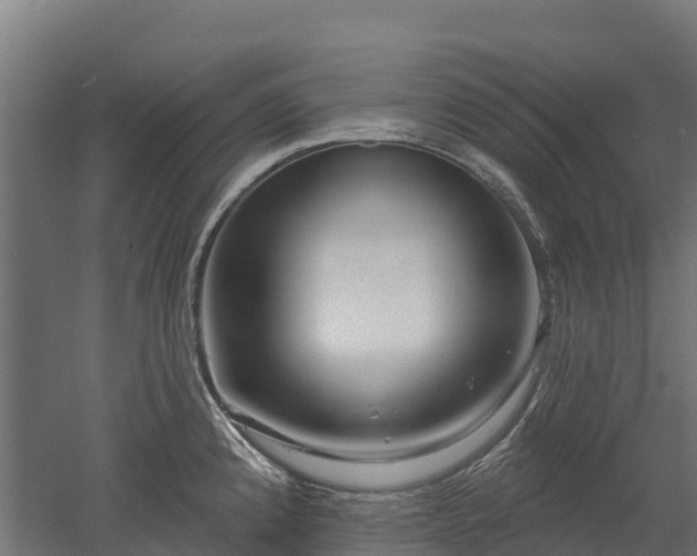 X0000052941192200507151635