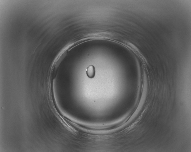 X0000052941196200507151635