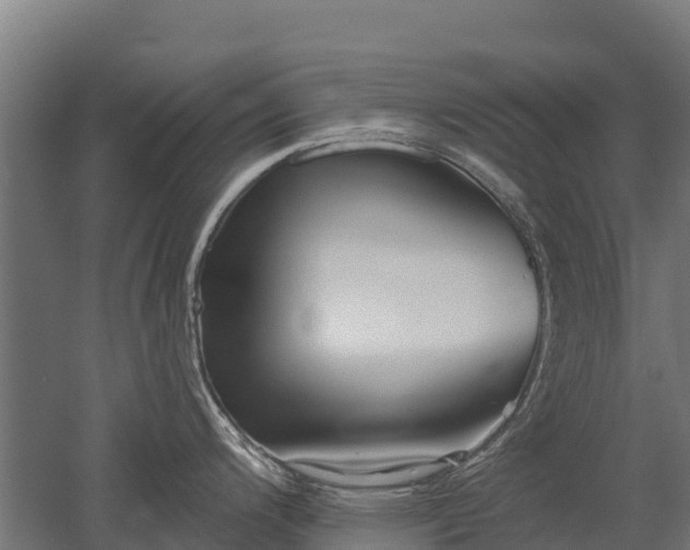 X0000052941200200507151635