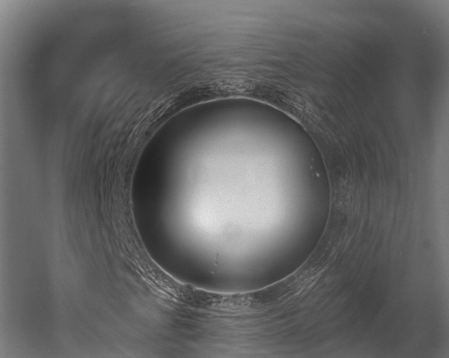 X0000052941201200507151634