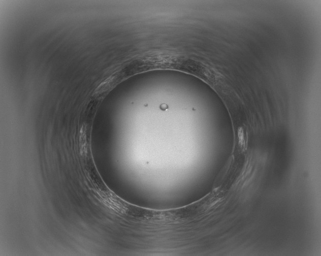 X0000052941203200507151634