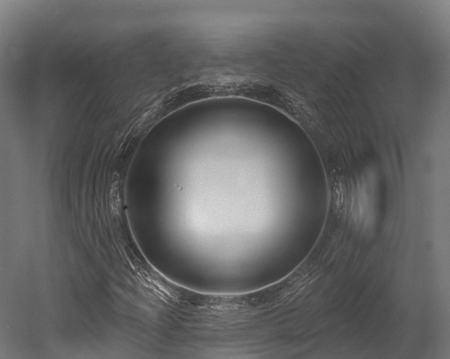 X0000052941204200507151634