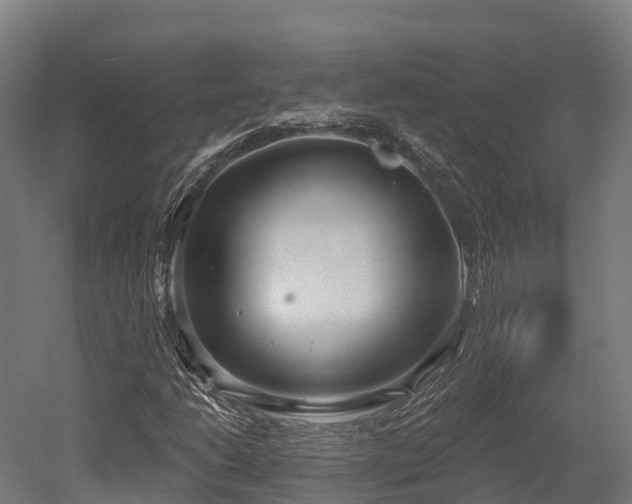 X0000052941206200507151634