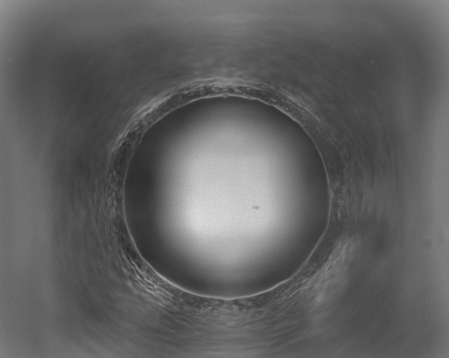 X0000052941207200507151634