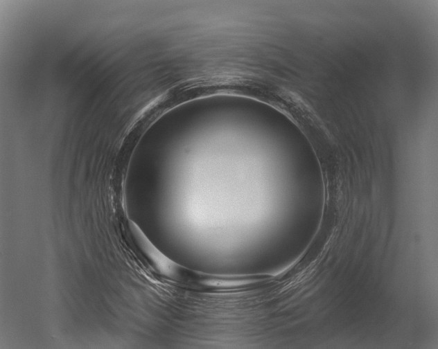 X0000052941210200507151634