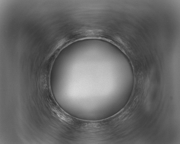 X0000052941211200507151634