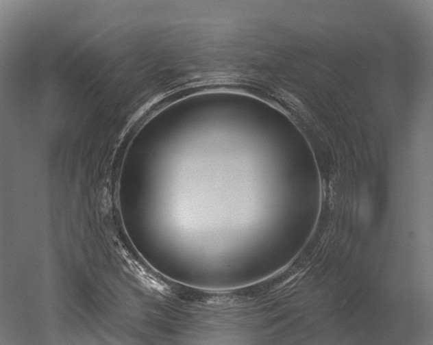 X0000052941212200507151634