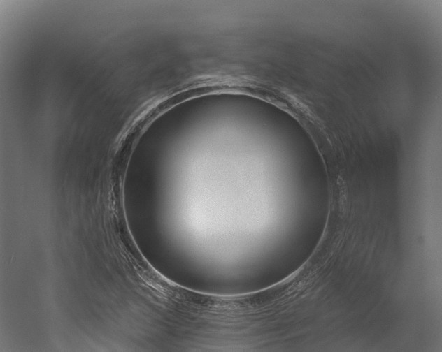 X0000052941215200507151634