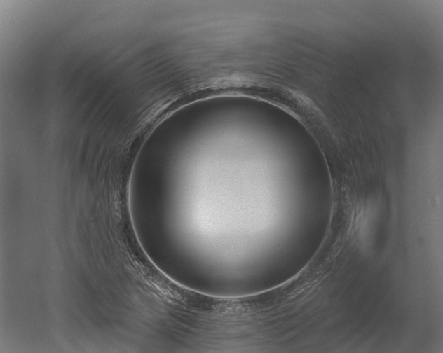 X0000052941217200507151634