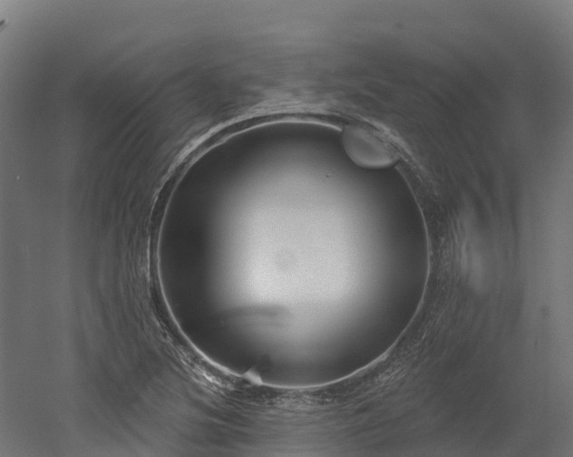 X0000052941220200507151634