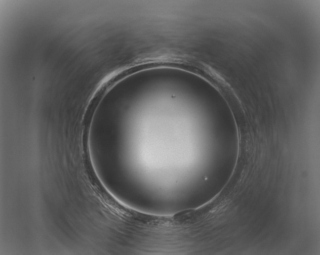 X0000052941222200507151634