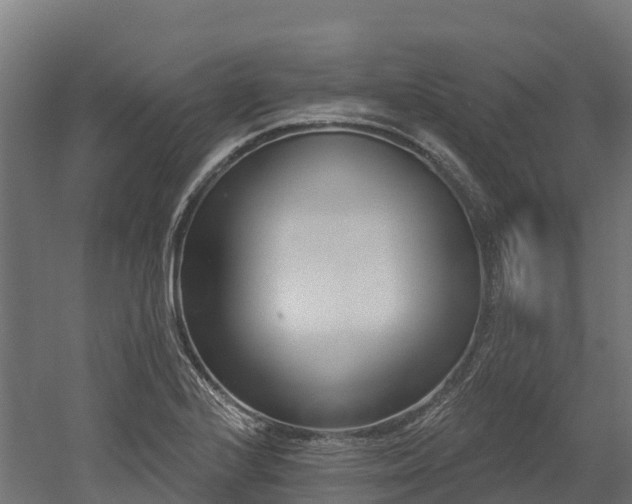 X0000052941224200507151634