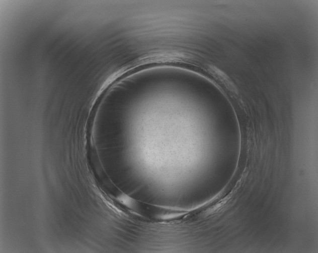 X0000052941226200507151634