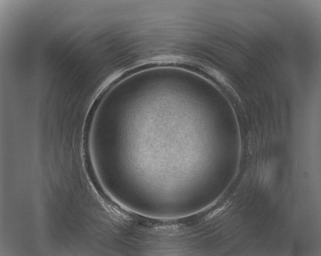 X0000052941229200507151634