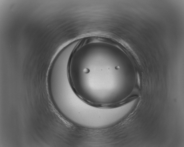 X0000052941230200507151634