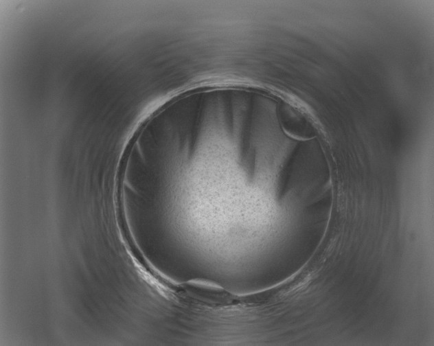 X0000052941231200507151634