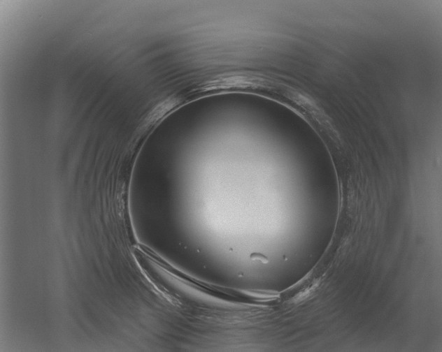 X0000052941233200507151634