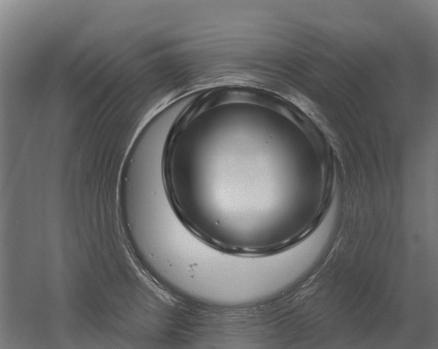 X0000052941234200507151634