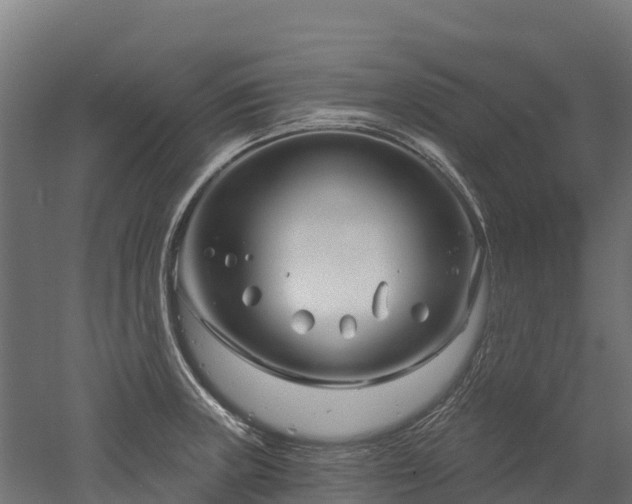 X0000052941235200507151634