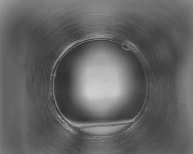 X0000052941236200507151634