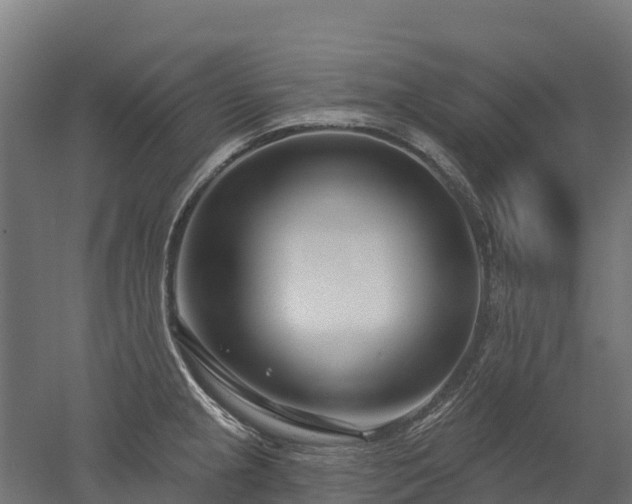 X0000052941237200507151634