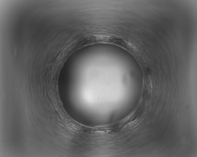 X0000052941249200507151634