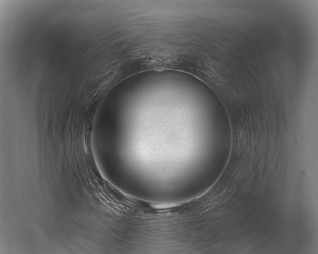 X0000052941250200507151634