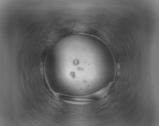 X0000052941251200507151634