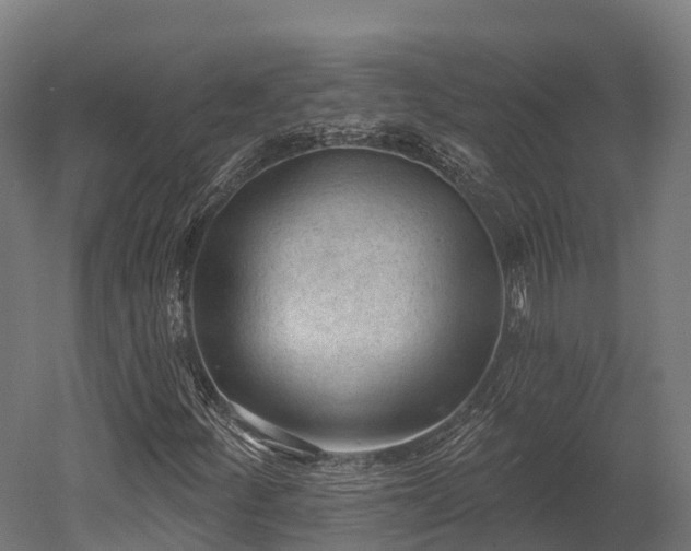 X0000052941252200507151634