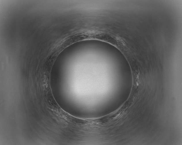 X0000052941253200507151634