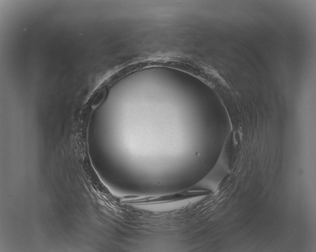 X0000052941256200507151634