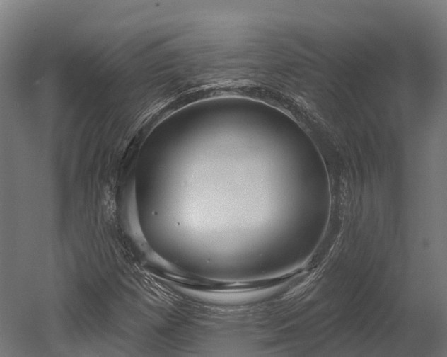 X0000052941257200507151634