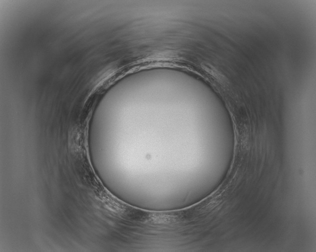 X0000052941258200507151634