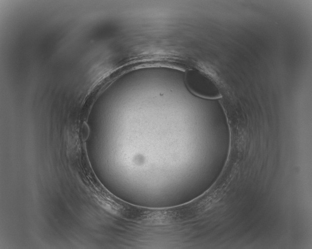 X0000052941259200507151634