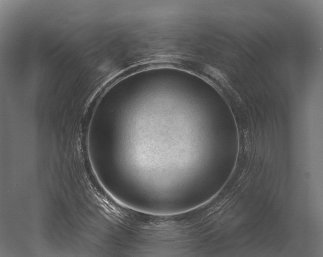 X0000052941260200507151634