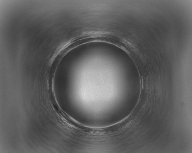 X0000052941261200507151634