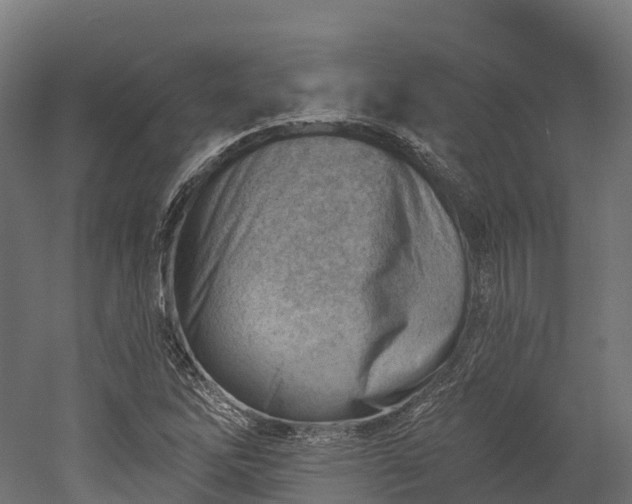 X0000052941262200507151634