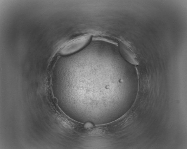 X0000052941263200507151634